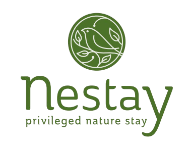 Nestay